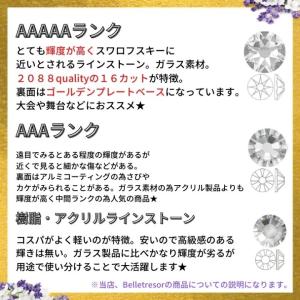 A5ランク高輝度ラインストーン 【SS12/1...の詳細画像3