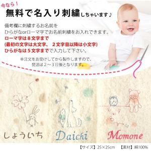 おむつケーキにプラス ミュールお名前刺繍ミニタ...の詳細画像1