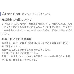 花束 ソラフラワー クリアバッグブーケ 母の日...の詳細画像4