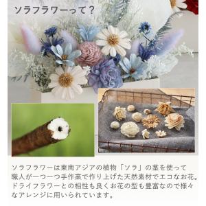 花束 ソラフラワー クリアバッグブーケ 母の日...の詳細画像5