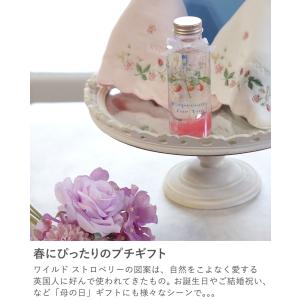ハーバリウム ワイルドストロベリー ハーバリウ...の詳細画像2