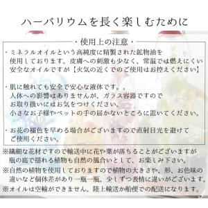 ハーバリウム ワイルドストロベリー ハーバリウ...の詳細画像3