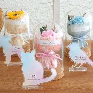 ペット メモリアル 名入れアクリルスタンド うちの子レインボーシルエット&ガラスドームお供え花セット ペット供養 ペット仏具 虹の橋 お悔やみ プレゼント