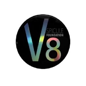 V8 スピキュール ファンデーション 18g スピキュール スピケア 針 HARI