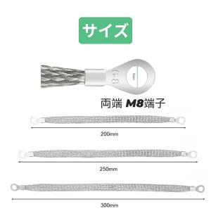マフラーアース キット 選べる 200mm 2...の詳細画像2