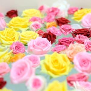 バラ風呂ギフト(120輪以上)の詳細画像5
