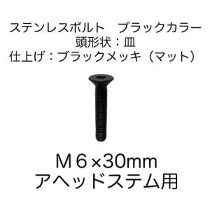 (ベネフィット)アヘッドステム用 ステンレスボルト ブラック M6×30mm(1本入り)　