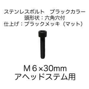 (ベネフィット)アヘッドステム用 ステンレスボルト ブラック M6×30mm(1本入り)