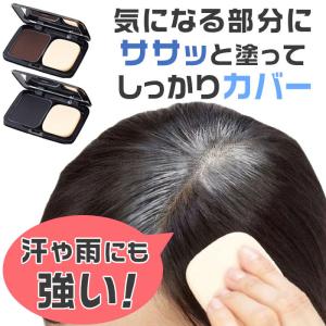 生え際 白髪かくし パウダー 白髪染め コンパクト ボタニカルヘアファンデーション 部分染め 白髪 簡単 生え際用 日本製 ネコポス送料無料｜bellseek