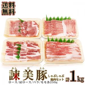 送料無料 豚肉 焼肉 しゃぶしゃぶ 長崎ブランド豚 諫美豚 かんびとん 食べ比べ セット 1kg (冷凍) 便利な小分けセット かんびとん (焼肉用しゃぶしゃぶ用)｜bellshop7