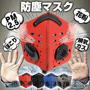 防塵マスクPM2.5花粉ほこり塵排気ガス防風zk225