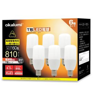 OKALUMI LED電球 T形 E17口金 40~60W形相当 電球色 810lm 断熱材施工器具対応 電球型蛍光灯 全方向タイプ 風呂