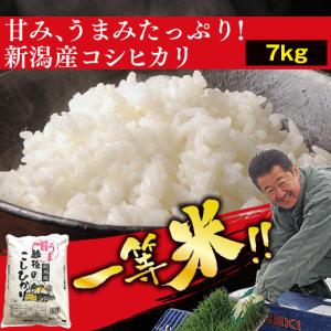 米 白米 こしひかり 甘うま越後のこしひかり７ｋｇ 【7560円(税込)以上で送料無料】｜bellunafoods