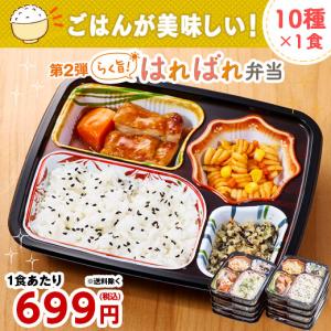 冷凍弁当 ご飯付き 健康 おかず 冷凍 食品 らく旨 はればれ弁当 第2弾 10種 10食 Dセット 弁当 簡単 時短 栄養 保存 バランス 父の日 ギフト プレゼント