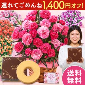 ＼1,400円オフ!/ 遅れてごめんね 母の日 ...の商品画像