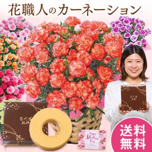 母の日 プレゼント 花 スイーツ 2026 予約 ギフト カーネーション 花鉢 オレンジカーネーション 5号 バウムクーヘン 母の日期間お届け 【送料無料】