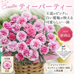 母の日 プレゼント 花 スイーツ 2026 予...の詳細画像5