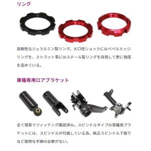 割引を販売 アラゴスタ Type C ホンダ モビリオスパイク Gk1用 アッパーマウントレス 3aaa Hp08 000 特売格安 Kytitlelaw Com
