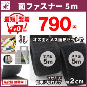 面ファスナー 結束バンド バンド オスメス セット フック面