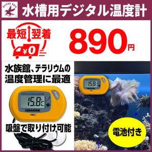 水温計 デジタル 水槽 釣り ON OFF機能 本体とセンサー用固定吸盤2個付き
