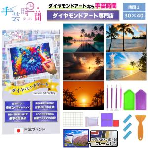 手芸時間 ダイヤモンドアート キット 南国 豪華付属品 日本企画 ライセンス取得品 150種類展開 四角 丸ビーズ 5D 初心者 ビーチ 癒し 30×40cm 人気脳活雑誌掲載