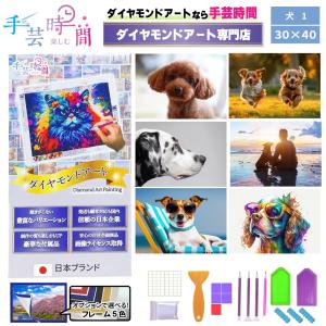 手芸時間 ダイヤモンドアート キット 犬 豪華付属品 日本企画 ライセンス取得品 150種類展開 四角 丸ビーズ 5D 初心者 柴犬 動物 30×40cm 人気脳活雑誌掲載｜belsus