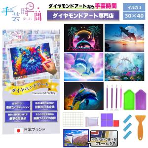 手芸時間 ダイヤモンドアート キット イルカ 豪華付属品 日本企画 ライセンス取得品 150種類展開 四角 丸ビーズ 5D 初心者 動物 癒し 30×40cm 人気脳活雑誌掲載