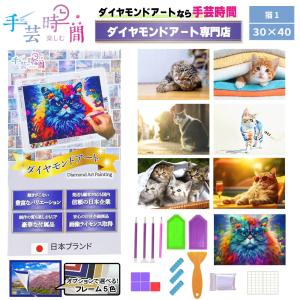 BELSUS URIS ダイヤモンドアート 猫 豪華付属品 額あり