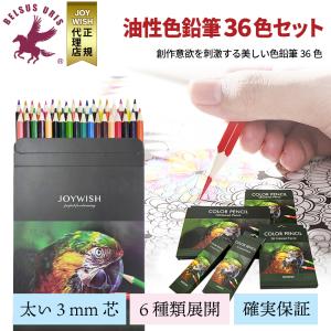 BELSUS URIS 正規代理店 色鉛筆 36色セット ６種類展開