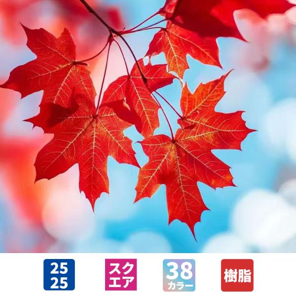 手芸時間 ダイヤモンドアート キット ＜日本製下絵＞ AHD037 絵画 四季・秋 25×25cm ...