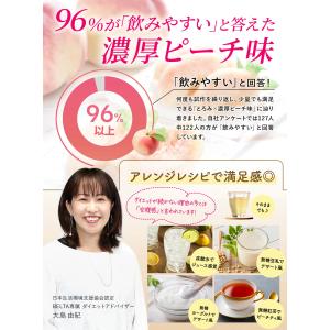 【ベルタ 公式】 酵素ドリンク ファスティング...の詳細画像2