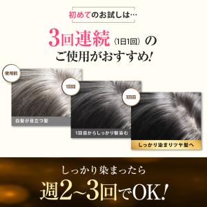 【ベルタ 公式】白髪染め 女性 カラートリート...の詳細画像4