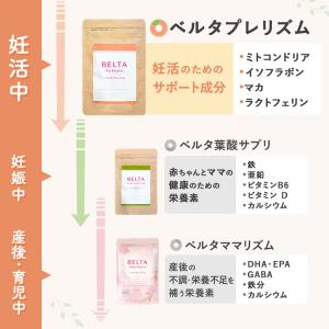 ベルタ 妊活サプリメント 妊活サプリ 葉 酸サ...の詳細画像4