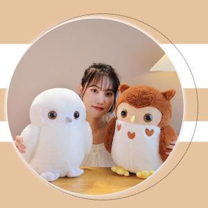 ビーニーブーズ ty 〔 パーシー 〕Mサイズ ふくろう フクロウ 鳥