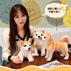 秋田空港&大館能代空港プロデュース 秋田犬ぬいぐるみ 秋田 大館 限定