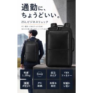 BEMOVITA 29冠達成 型崩れしない ビ...の詳細画像2