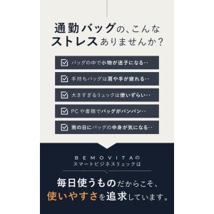 BEMOVITA 29冠達成 型崩れしない ビ...の詳細画像3