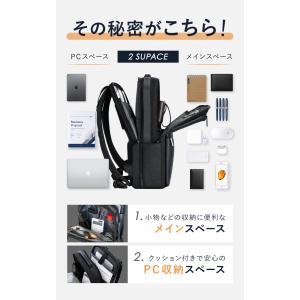 BEMOVITA 29冠達成 型崩れしない ビ...の詳細画像5