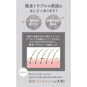 期間限定 500円 BEMOVITA スカルプ...の詳細画像2