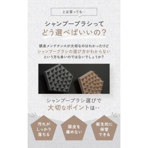 期間限定 500円 BEMOVITA スカルプ...の詳細画像4