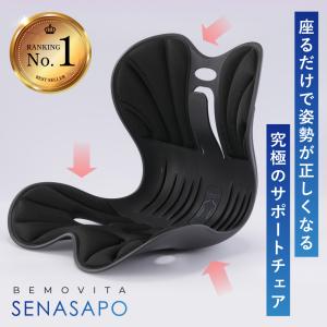 Style（スタイル） 姿勢 サポートチェア MTG スタイルスマート Style