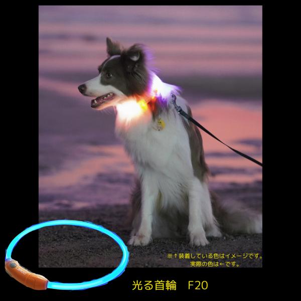 光る首輪 F20 LED ライト USB充電式 夜 さんぽ 安心 安全 犬 猫 長さ調節可 小型 中...