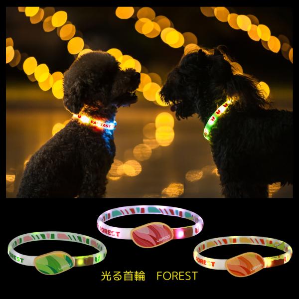 光る首輪 FOREST LED ライト USB充電式 夜 さんぽ 安心 安全 犬 猫 長さ調節可 小...