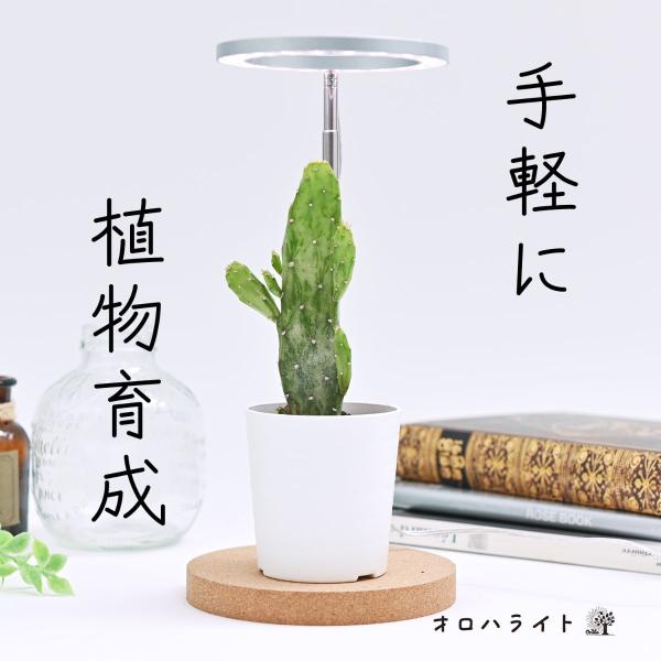 植物育成用LEDライト　「オロハライト」 〜oroha light〜　植物育成に適したLEDライト　...