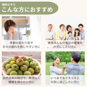 梅肉エキス 90g 健康フーズ 梅エキス 紀州...の詳細画像2