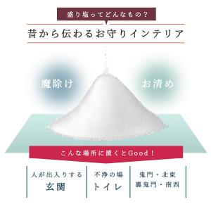 風水 【 1年間交換不要 盛り塩ヒマラヤソルト...の詳細画像1