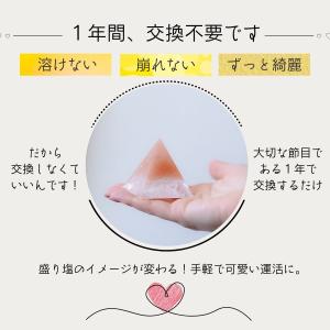 風水 【 1年間交換不要 盛り塩ヒマラヤソルト...の詳細画像2