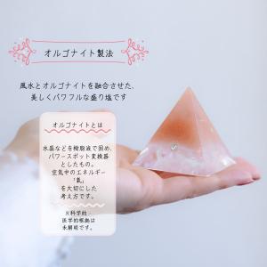 風水 【 1年間交換不要 盛り塩ヒマラヤソルト...の詳細画像3