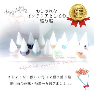選べる 交換不要 盛り塩 セット 1年 お祝い...の詳細画像1