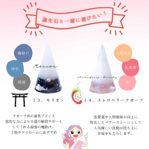 選べる 交換不要 盛り塩 セット 1年 お祝い...の詳細画像2